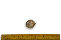 F 13076
<br/>
<br/>
<em></em>